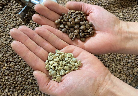 Coffee roastery business - is it worth starting?