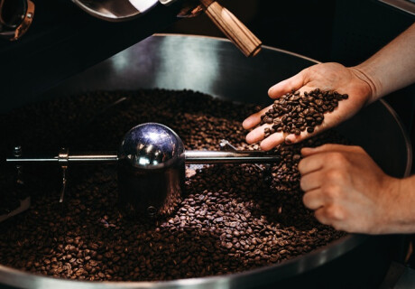 Single-Origin Coffee vs Blends: What’s the Real Difference?