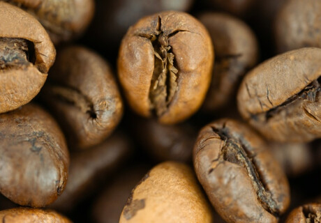 Coffee Origin Explained: How Geography Shapes Flavor