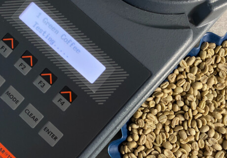 What is Coffee Moisture Content?