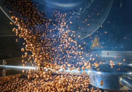 Investing in Coffee Machinery: The Ultimate Guide to Industrial Roasting and Packaging Lines