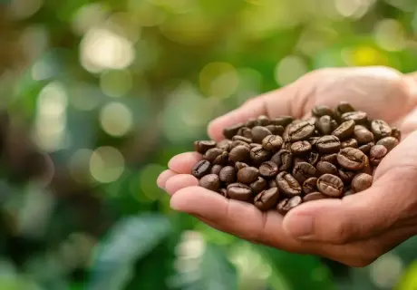 The Sustainable Roastery: Energy Efficiency and Reducing Your Carbon Footprint