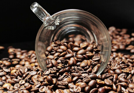 A Beginner's Guide to Coffee Brewing Methods & Needed Equipment: From Pour Over to Espresso
