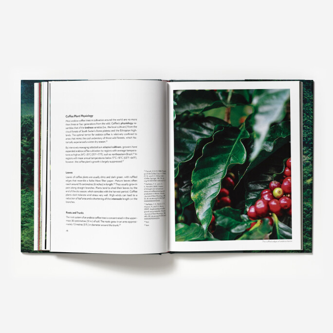 Terroir: Coffee from Seed to Harvest - Barista Hustle #2
