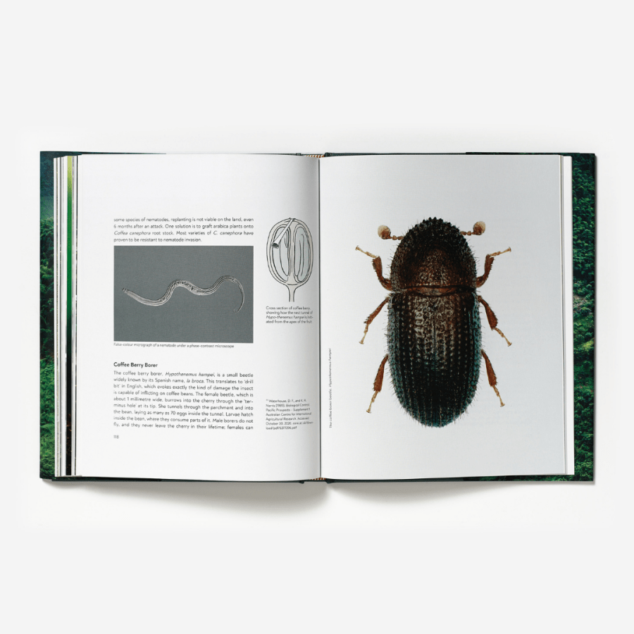 Terroir: Coffee from Seed to Harvest - Barista Hustle