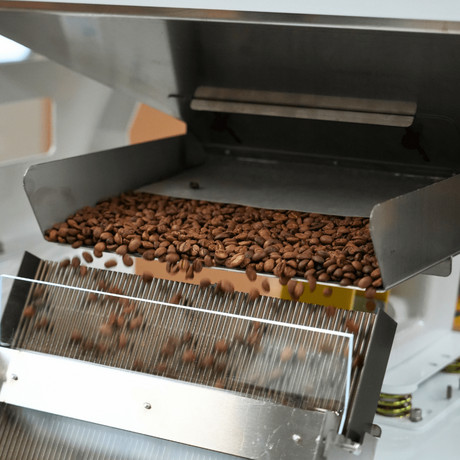 Coffee Color Sorter MINI-250 | Coffee Machines Sale