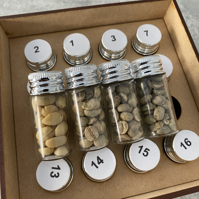 Arabica Green Coffee Defect Kit #6