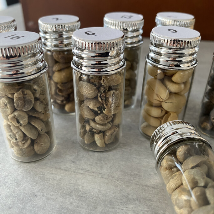 Arabica Green Coffee Defect Kit #2