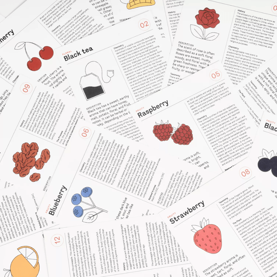 Le Nez du Café 2.0 | 60 Aromas Boxset | Coffee Machines Sale