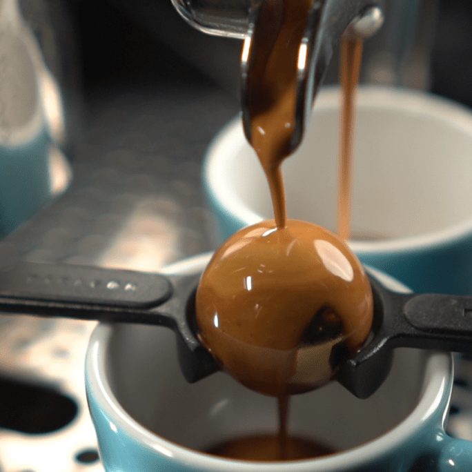 Nucleus Espresso Paragon #3